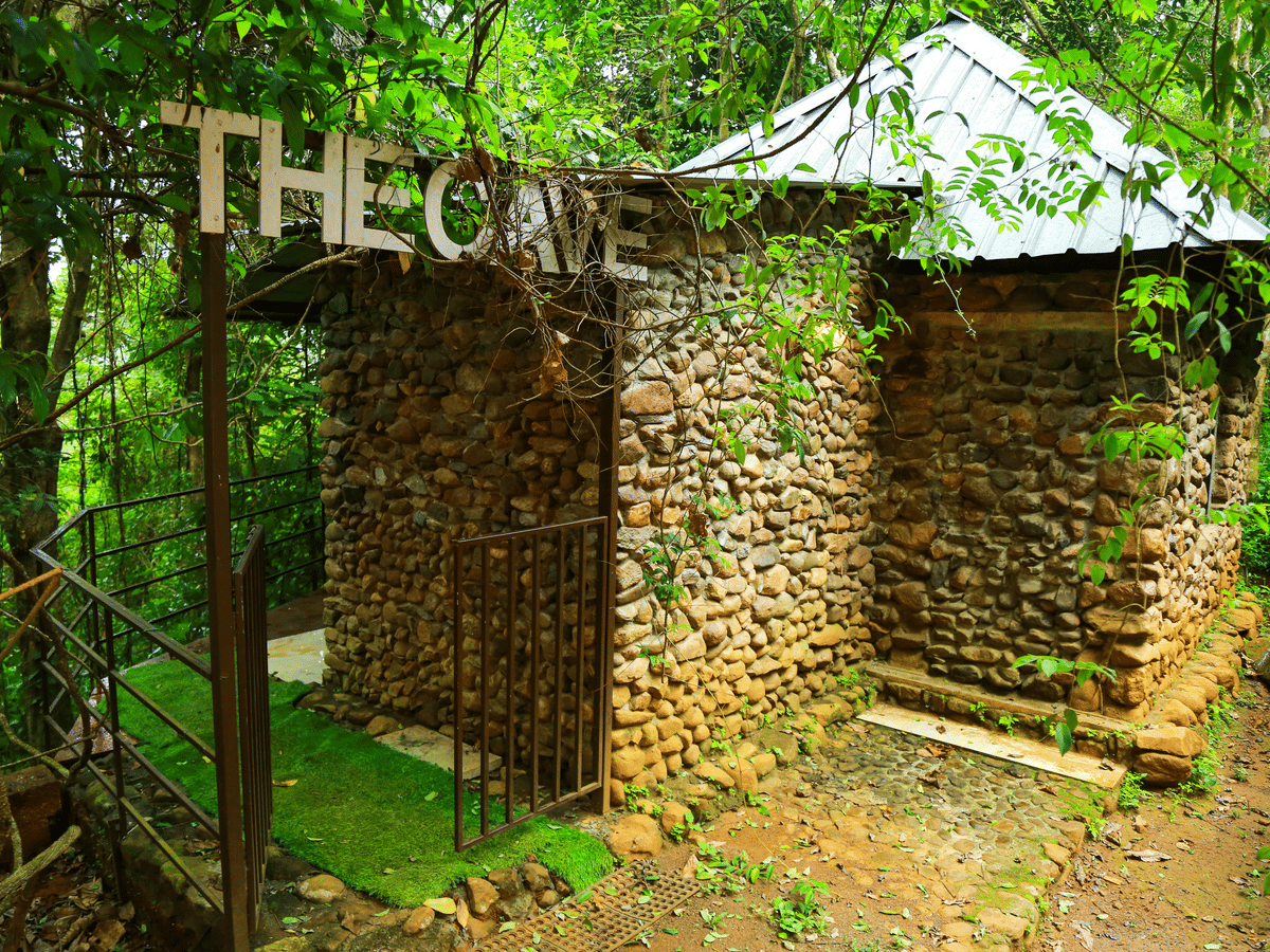 Forest eco cottage stay